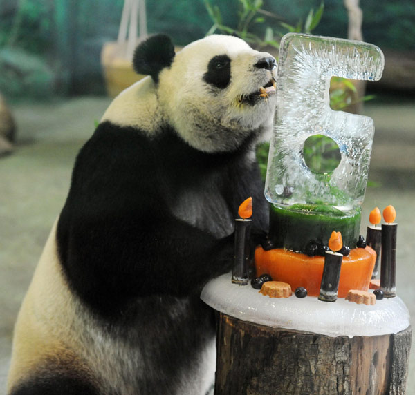 panda party panda party